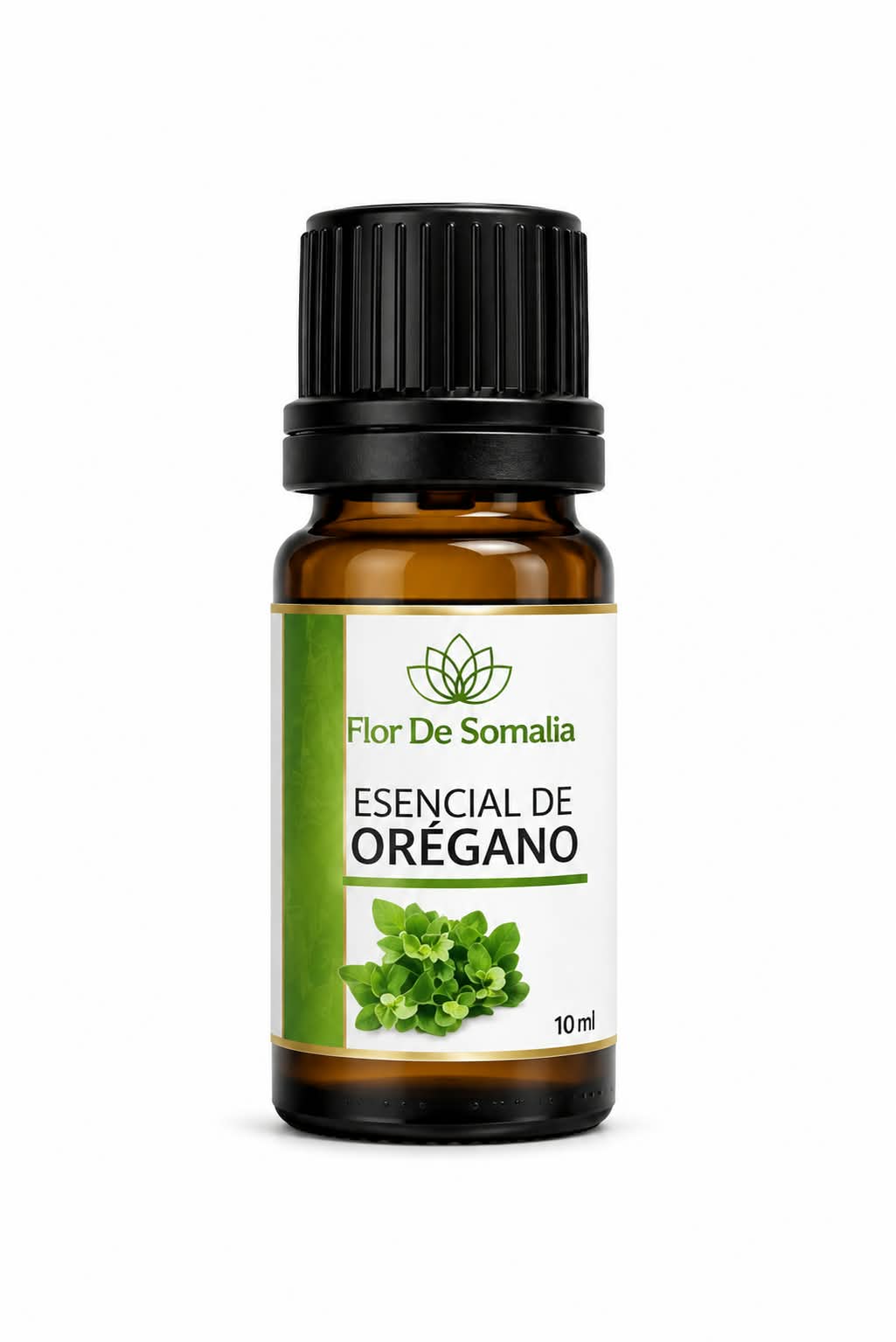 ACEITE ESENCIAL DE ORÉGANO